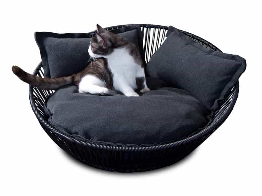 Gattino bianco e nero in un cesto per gatti intrecciato da pet-interiors.